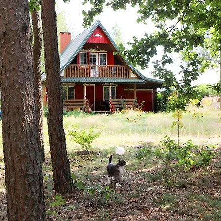 Villa Wiedzmy - Czary Mary U Tamary - Kocia Oaza W Puszczy Bialej *