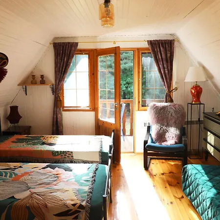 Villa Wiedzmy - Czary Mary U Tamary - Kocia Oaza W Puszczy Bialej *