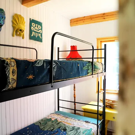 Wiedzmy - Czary Mary U Tamary - Kocia Oaza W Puszczy Bialej * Dybki