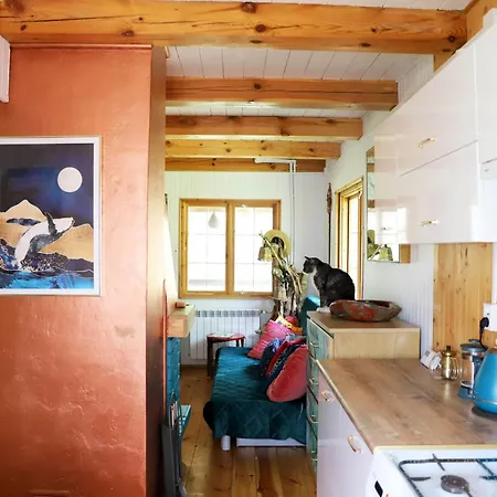 Wiedzmy - Czary Mary U Tamary - Kocia Oaza W Puszczy Bialej *