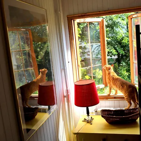 Wiedzmy - Czary Mary U Tamary - Kocia Oaza W Puszczy Bialej Villa