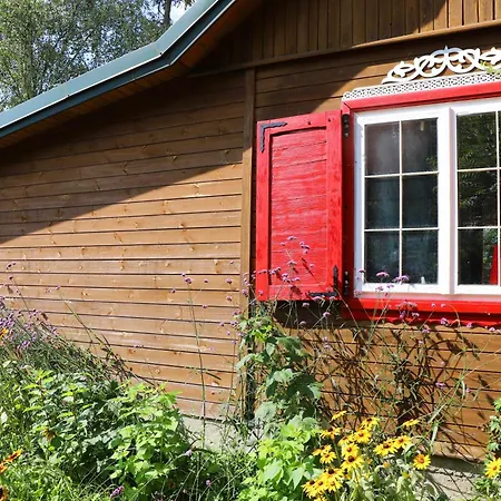 Wiedzmy - Czary Mary U Tamary - Kocia Oaza W Puszczy Bialej Villa Dybki