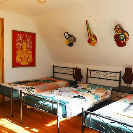 Villa Wiedzmy - Czary Mary U Tamary - Kocia Oaza W Puszczy Bialej Dybki