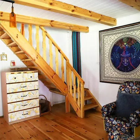 Wiedzmy - Czary Mary U Tamary - Kocia Oaza W Puszczy Bialej *