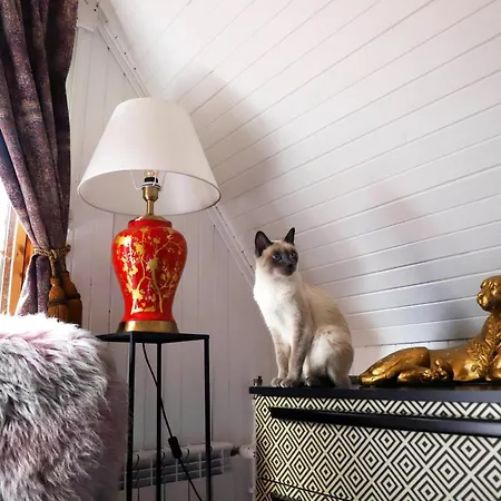 Wiedzmy - Czary Mary U Tamary - Kocia Oaza W Puszczy Bialej Villa