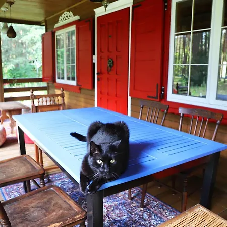 Wiedzmy - Czary Mary U Tamary - Kocia Oaza W Puszczy Bialej