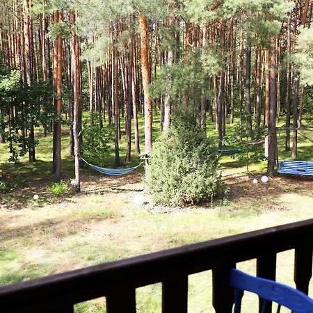 Villa Wiedzmy - Czary Mary U Tamary - Kocia Oaza W Puszczy Bialej Dybki