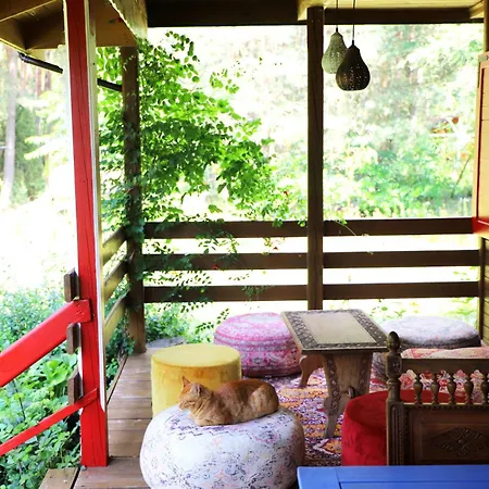 Wiedzmy - Czary Mary U Tamary - Kocia Oaza W Puszczy Bialej * Dybki