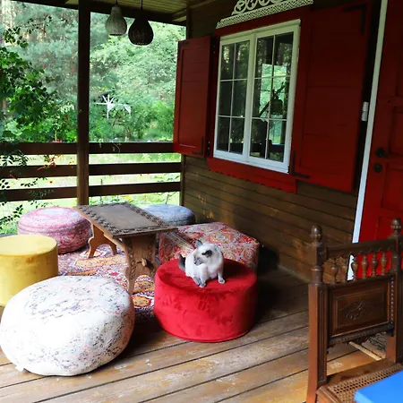 Wiedzmy - Czary Mary U Tamary - Kocia Oaza W Puszczy Bialej Dybki