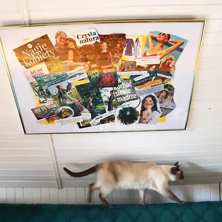 Villa Wiedzmy - Czary Mary U Tamary - Kocia Oaza W Puszczy Bialej Dybki