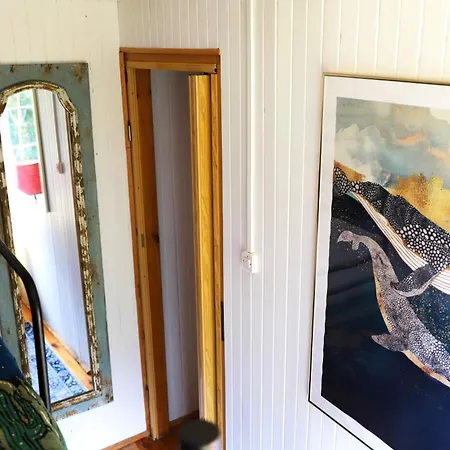 Wiedzmy - Czary Mary U Tamary - Kocia Oaza W Puszczy Bialej *