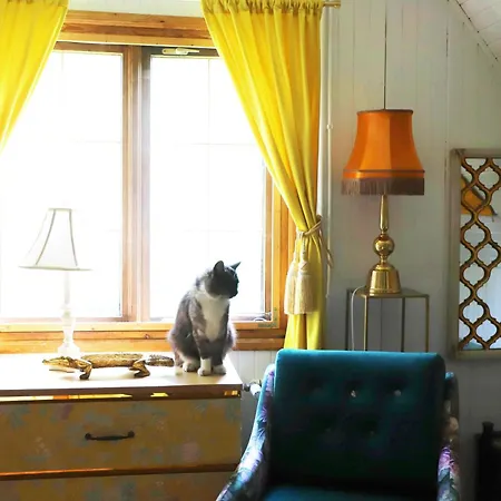 Villa Wiedzmy - Czary Mary U Tamary - Kocia Oaza W Puszczy Bialej Dybki