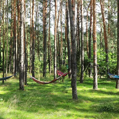 Wiedzmy - Czary Mary U Tamary - Kocia Oaza W Puszczy Bialej Villa Dybki