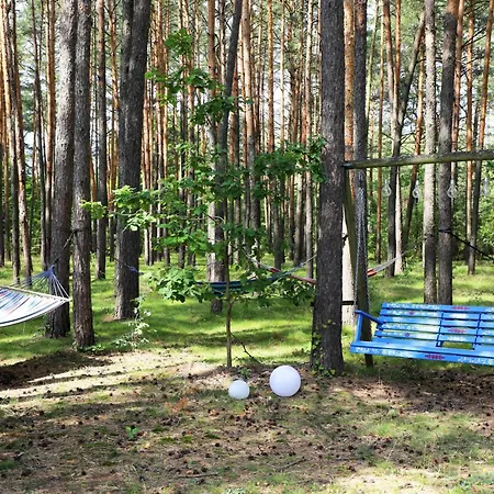 Wiedzmy - Czary Mary U Tamary - Kocia Oaza W Puszczy Bialej Villa Dybki