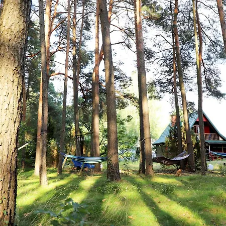 Wiedzmy - Czary Mary U Tamary - Kocia Oaza W Puszczy Bialej Villa *