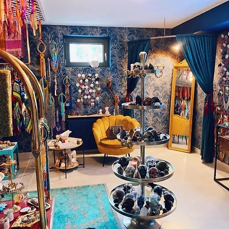 Wiedzmy - Czary Mary U Tamary - Kocia Oaza W Puszczy Bialej