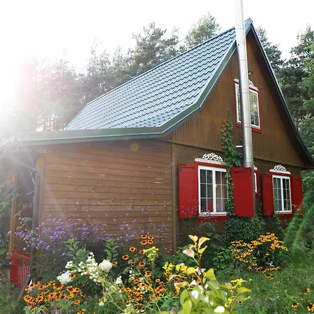 Wiedzmy - Czary Mary U Tamary - Kocia Oaza W Puszczy Bialej * Dybki