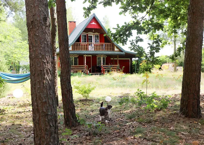 Vila Wiedzmy - Czary Mary U Tamary - Kocia Oaza W Puszczy Bialej *