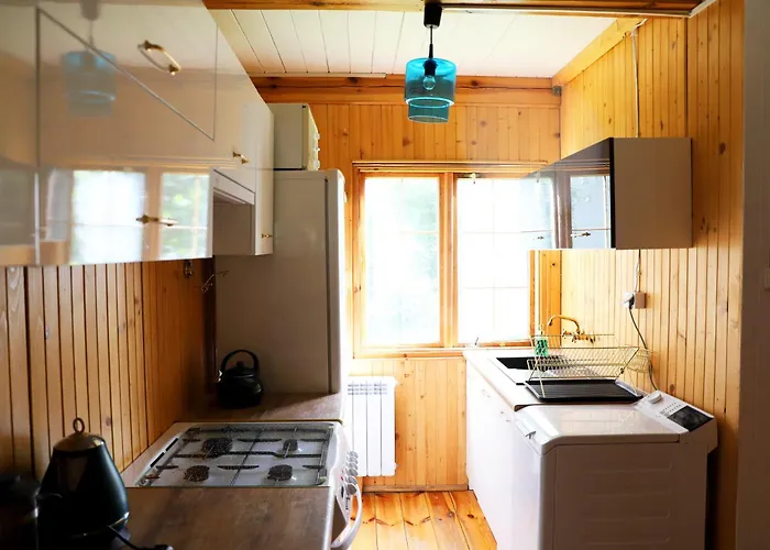 Wiedzmy - Czary Mary U Tamary - Kocia Oaza W Puszczy Bialej Dybki