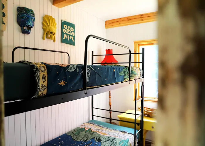 Wiedzmy - Czary Mary U Tamary - Kocia Oaza W Puszczy Bialej * Dybki