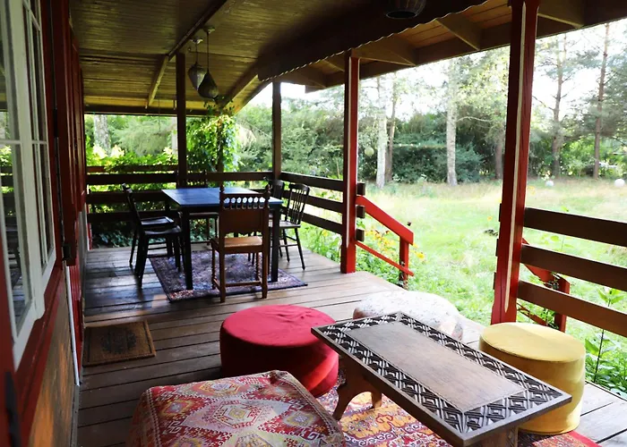 Wiedzmy - Czary Mary U Tamary - Kocia Oaza W Puszczy Bialej Vila *