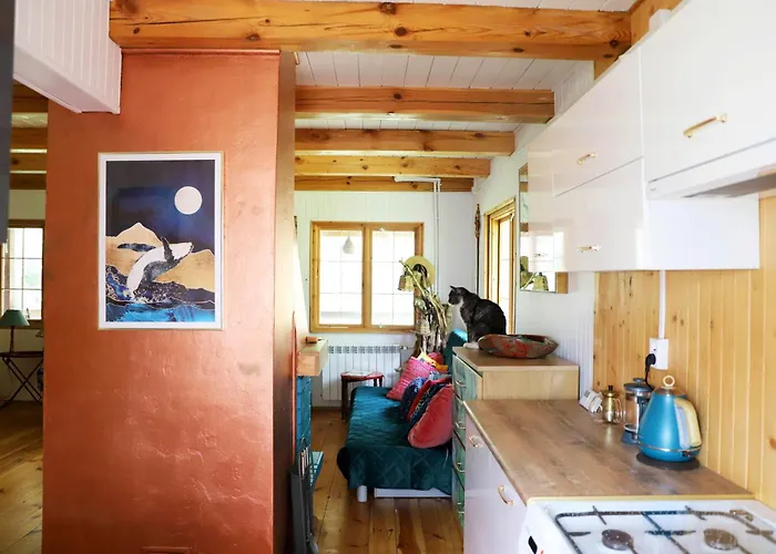 Wiedzmy - Czary Mary U Tamary - Kocia Oaza W Puszczy Bialej *