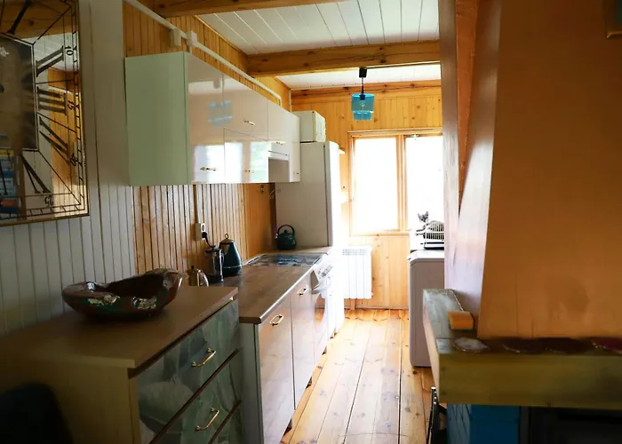 Wiedzmy - Czary Mary U Tamary - Kocia Oaza W Puszczy Bialej *