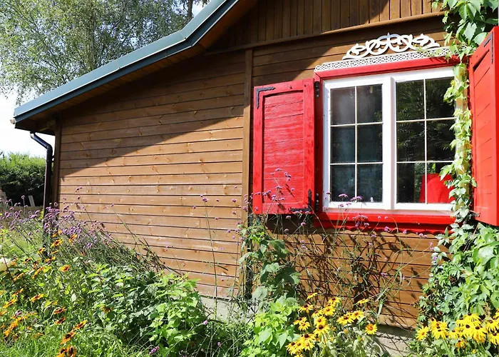 Wiedzmy - Czary Mary U Tamary - Kocia Oaza W Puszczy Bialej Vila Dybki