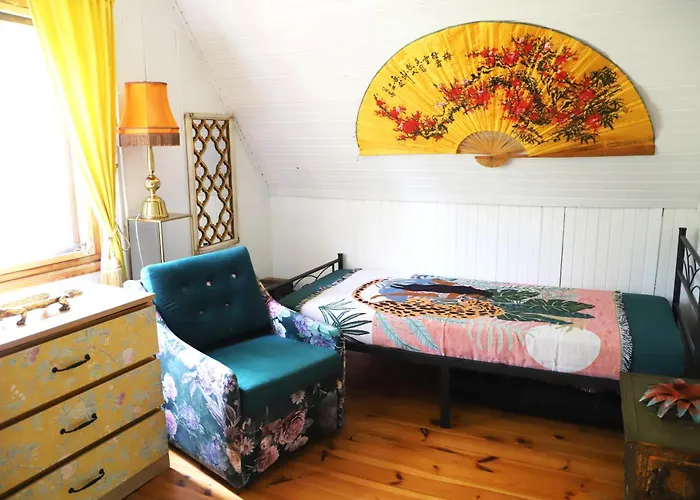 Wiedzmy - Czary Mary U Tamary - Kocia Oaza W Puszczy Bialej