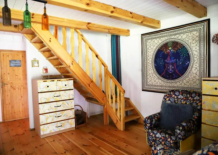 Wiedzmy - Czary Mary U Tamary - Kocia Oaza W Puszczy Bialej *