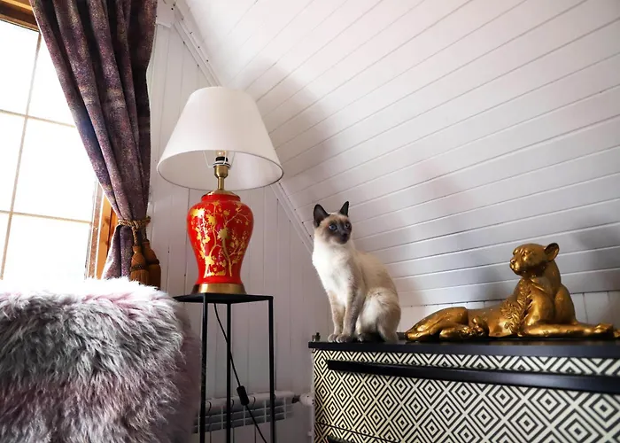 Wiedzmy - Czary Mary U Tamary - Kocia Oaza W Puszczy Bialej Vila