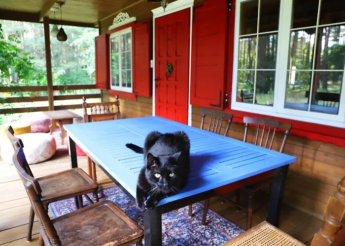 Wiedzmy - Czary Mary U Tamary - Kocia Oaza W Puszczy Bialej