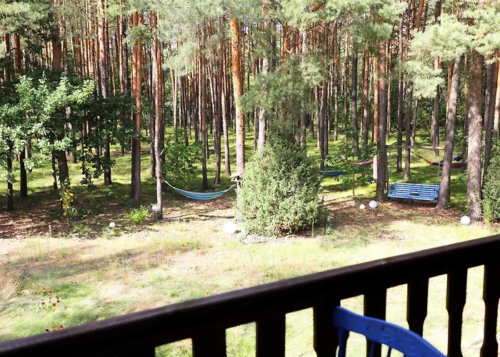 Vila Wiedzmy - Czary Mary U Tamary - Kocia Oaza W Puszczy Bialej Dybki