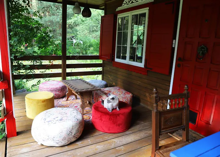 Wiedzmy - Czary Mary U Tamary - Kocia Oaza W Puszczy Bialej Dybki