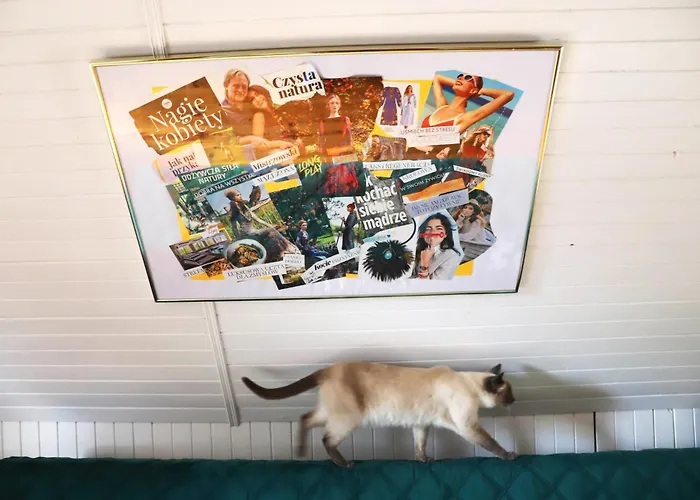 Vila Wiedzmy - Czary Mary U Tamary - Kocia Oaza W Puszczy Bialej Dybki