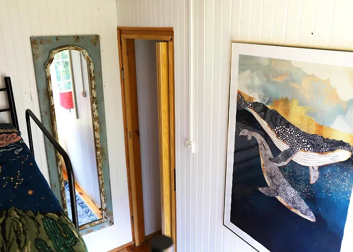 Wiedzmy - Czary Mary U Tamary - Kocia Oaza W Puszczy Bialej *