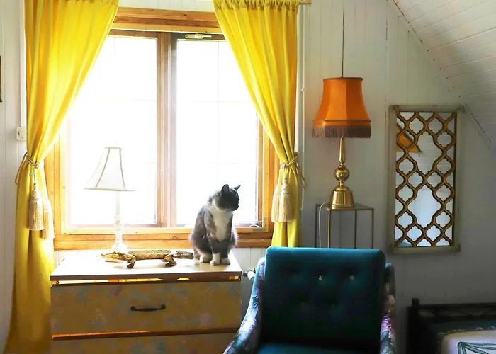 Vila Wiedzmy - Czary Mary U Tamary - Kocia Oaza W Puszczy Bialej Dybki