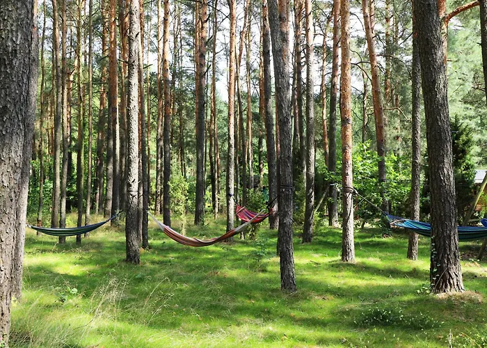 Wiedzmy - Czary Mary U Tamary - Kocia Oaza W Puszczy Bialej Vila Dybki