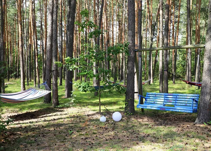 Wiedzmy - Czary Mary U Tamary - Kocia Oaza W Puszczy Bialej Vila Dybki