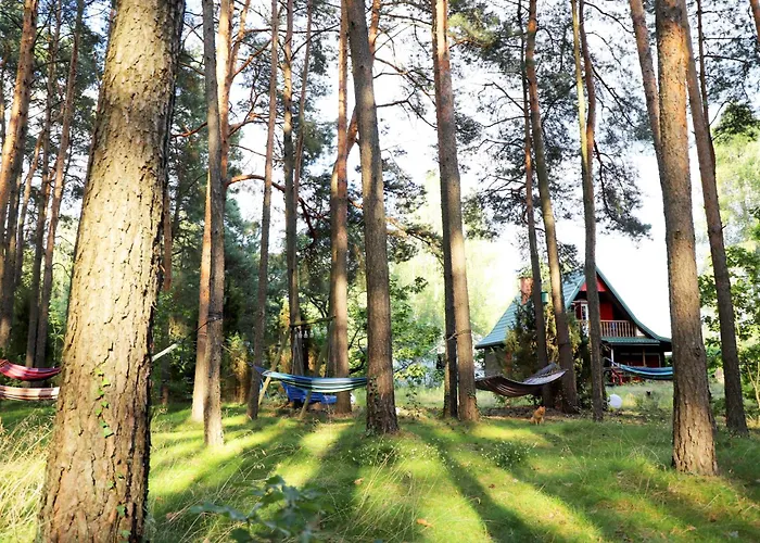 Wiedzmy - Czary Mary U Tamary - Kocia Oaza W Puszczy Bialej Vila *