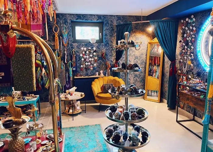 Wiedzmy - Czary Mary U Tamary - Kocia Oaza W Puszczy Bialej