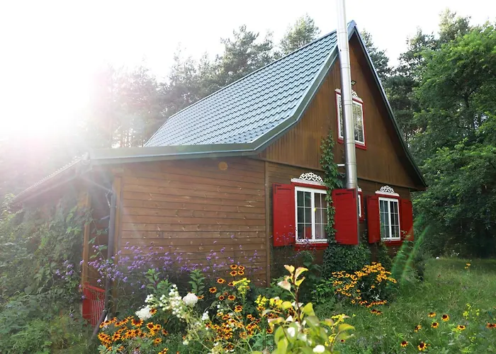 Wiedzmy - Czary Mary U Tamary - Kocia Oaza W Puszczy Bialej * Dybki